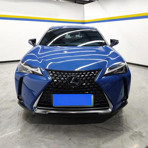  Lexus UX EV 2020 300e Pure Joy