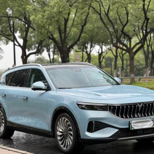 2021 Model Lantu free